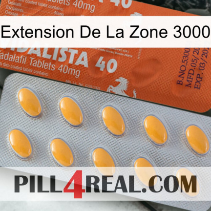 Exten Zone 3000 43
